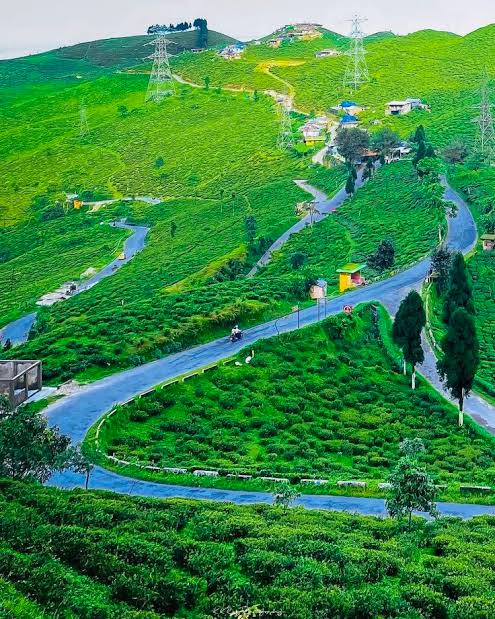 Mirik Municipality FAQ and citizen assistance