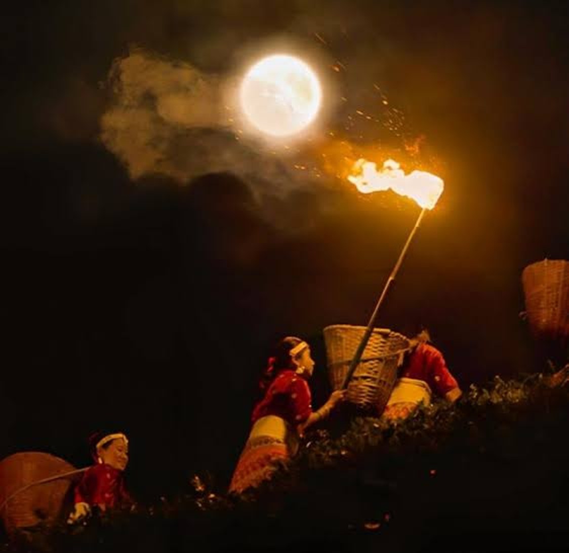 Moon Light Plucking
